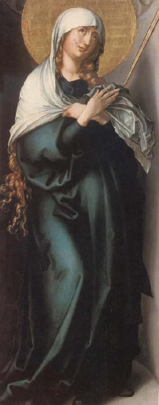 Albrecht Durer The Virgin as Mater Dolorosa oil painting image